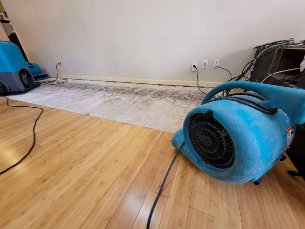 Professional Water Damage Repair technician working in Mandeville, LA